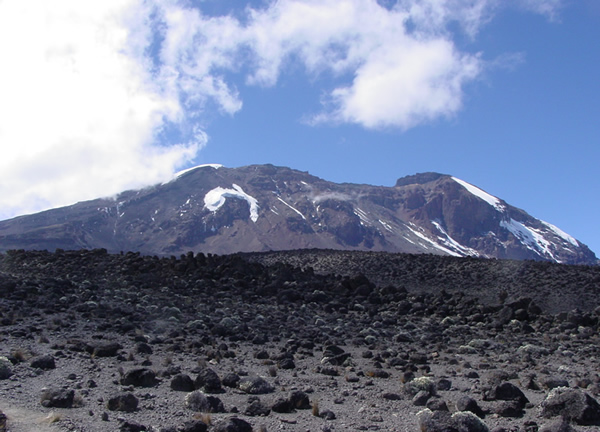 Kilimajaro Main